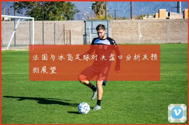 法国与冰岛足球对决盘口分析及预测展望